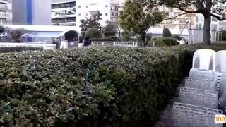 国产成人尤物精品一区|亚洲精品99久久久久中文字幕